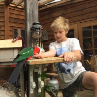 Dad Schools At Home (@occupiedoutback) 's Twitter Profile