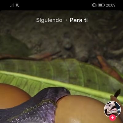 cfml3's profile picture. 