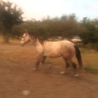 jose manuelrodriguezdelariva (@joseman90789106) 's Twitter Profile