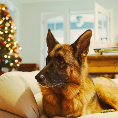 KevinA3939's profile picture. 