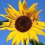 crwilson709's profile picture. Views expressed are my own