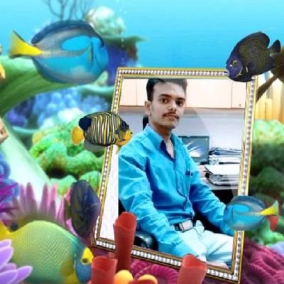 ABHIJIT04030514's profile picture. 