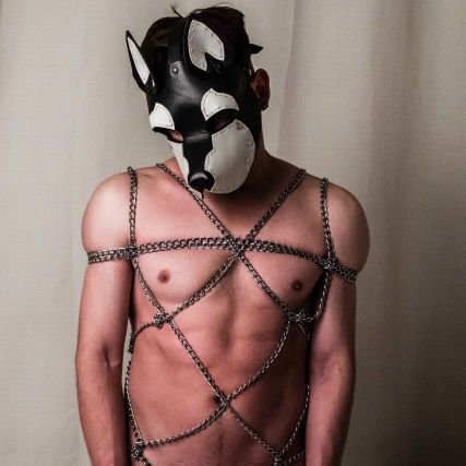🐺🔥🍆😈 NSFW Pup wolf alter ego account Vers top Kinky as fuck 🐺💙
