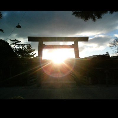 g_l_d_s_p's profile picture. やればできる