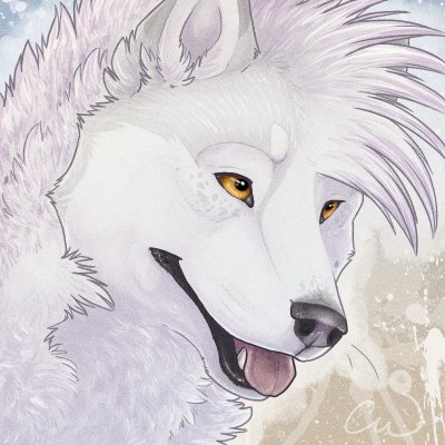 𝓑ordavix/𝓓esigns (cheℓsea) ✨さんのプロフィール画像