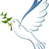 blueangel_c's profile picture. mother, wife, artist, humanist, animal lover