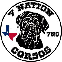 7NationCorsos(7NC)(@7NCaneCorso) 's Twitter Profile Photo