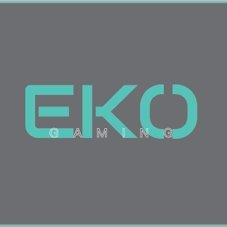 EKOGAMNG Profile Picture