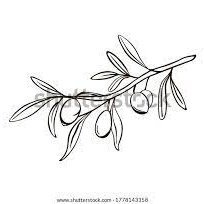 erin_antihate's profile picture. Email for any tips or assistance: antihate@mail.com