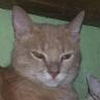 MoxigeDude's profile picture. 