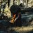 jav_islas84's profile image