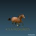 K S A pedigrees (@ksapedigrees) Twitter profile photo K S A pedigrees (@ksapedigrees) Twitter profile photo