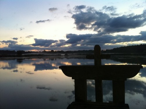 natouo's profile picture. 