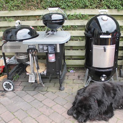 AllanOl40870956's profile picture. 