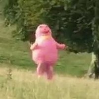 Jim (@tinywormthing) 's Twitter Profile