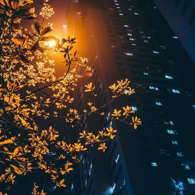 lucassingg's profile picture. toumin