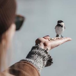 MitchellBallan's profile picture. Explorer. Professional entrepreneur. Coffee nerd. Avid zombie evangelist. Writer.