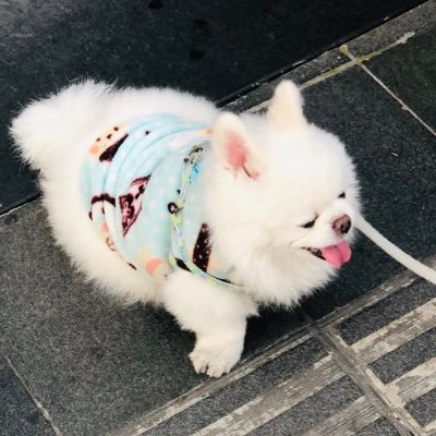 QZXHAEL's profile picture. 