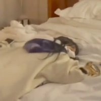 close. (@defnotjeyehere) 's Twitter Profile