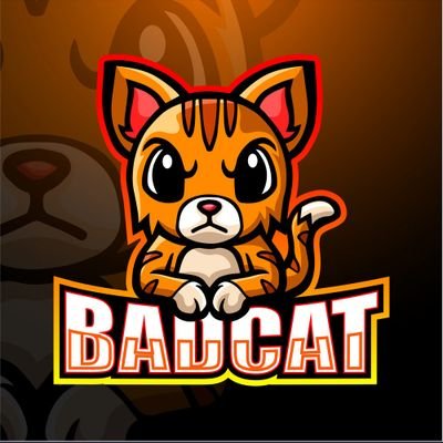 Hi nice to meet you :) and my name is badcat.
my YouTube channel name is badcat gamer