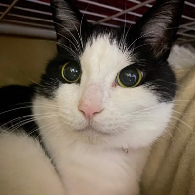 鈴木リョウジさんのプロフィール画像