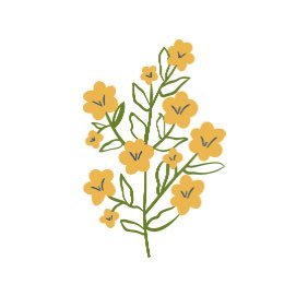 高島さんのプロフィール画像
