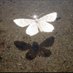 استبقوا الخيرات (@do3an2) Twitter profile photo استبقوا الخيرات (@do3an2) Twitter profile photo