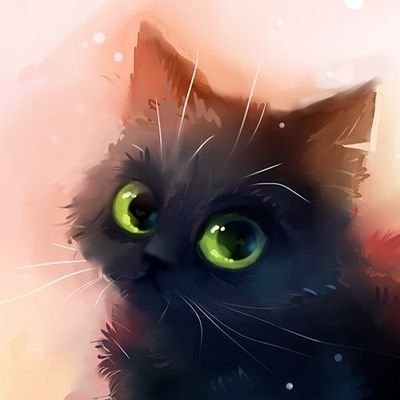 ☁蓮☁さんのプロフィール画像