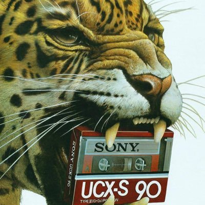 kittyextract's profile picture. ok :)