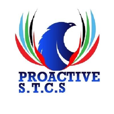 Proactive Star Technical Services L.L.C.