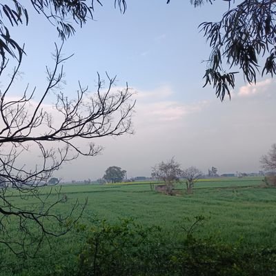 Arshdeep8714105's profile picture. Arshdeep ASP