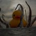 Release the Quacken (@quackenrelease) Twitter profile photo Release the Quacken (@quackenrelease) Twitter profile photo