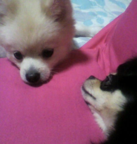 shinichi_fujita's profile picture. ゴルフ大好き・アントラーズ大好き・食べるの大好き・ラーメン大好き。求人業務代行や事業構築サポート、Webシステム制作などしています。相続診断や骨董鑑定なども承ってます♪