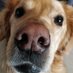 Sara Hussein (@sarahus83428278) Twitter profile photo Sara Hussein (@sarahus83428278) Twitter profile photo