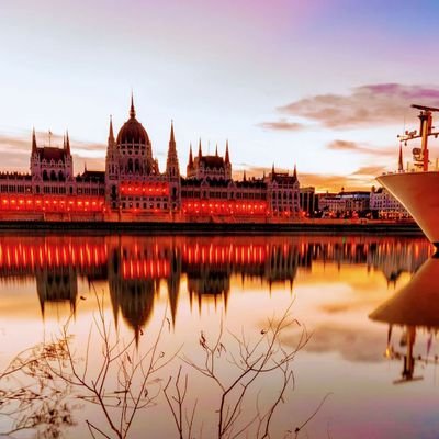 danibaloch173's profile picture. 