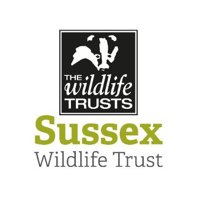 Sussex Wildlife Trust 🦔