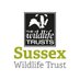 Sussex Wildlife Trust 🦔 (@SussexWildlife) Twitter profile photo