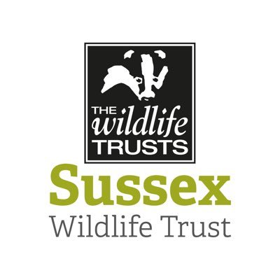 This account is now longer updated. Please follow @SussexWildlife for updates or visit links below. Discovery Centre open daily, 10-4pm