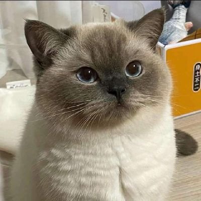 ChinegroT's profile picture. Tired of being employed 😶