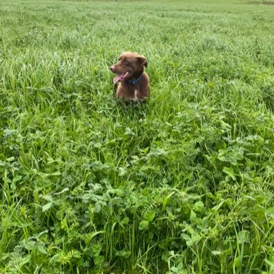 farmer from the great southern, always keen to learn from others.