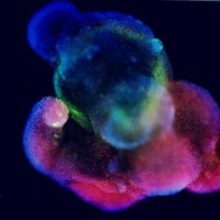 Choquet Caroline (@imagin_science) 's Twitter Profile