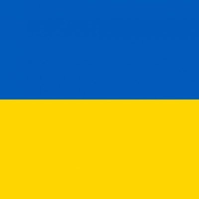 Daringu_L's profile picture. Junior Web Developer. From Ukraine💙💛
