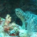 EvelinePurdy's profile picture. Success is doing what you want, where you want, when you want, with whom you want as much as you want.