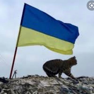 kat_st's profile picture. 