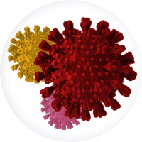 Lab of Kizzmekia Corbett (@kizzyphd) (@kizzyphd_lab) 's Twitter Profile