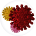 Lab of Kizzmekia Corbett (@kizzyphd) (@kizzyphd_lab) Twitter profile photo
