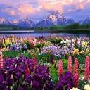 ayesha saba - @ayeshasaba02 - Twitter