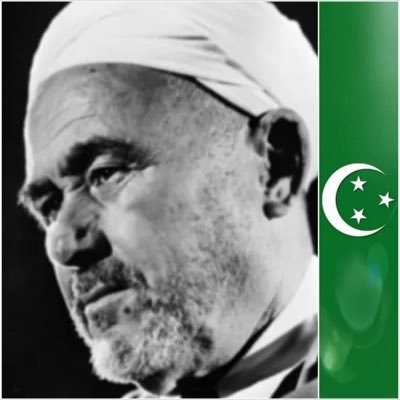 pbn_fp's profile picture. 