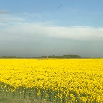 inta_ka's profile picture. 