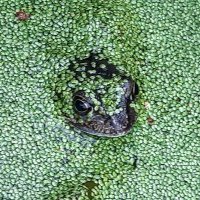 michael lanigan (@michaelwlanigan) 's Twitter Profile
